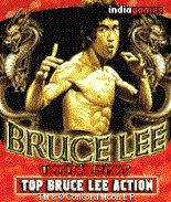game pic for BruceLee Iron Fist 2D riolatino